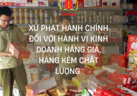 Xử phạt hành chính đối với hành vi kinh doanh hàng giả, hàng kém chất lượng