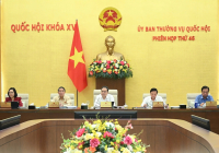 Quy định chặt chẽ việc mua bán, vận chuyển, nhập khẩu hóa chất không rõ nguồn gốc