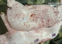 Ngành Nông nghiệp đề nghị Bộ Công an vào cuộc vụ 'C.P. Việt Nam bị tố cáo bán thịt lợn bệnh'