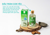 TINH DẦU THIÊN NHIÊN VÀ BÍ QUYẾT SỐNG XANH TỪ PURE GLOBAL