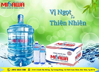 Pháp luật và doanh nghiệp