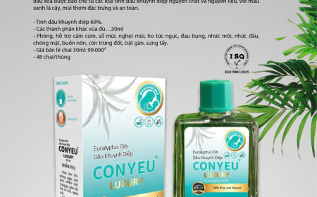 PURE GLOBAL: TINH DẦU XANH, XỨ MỆNH LÀNH